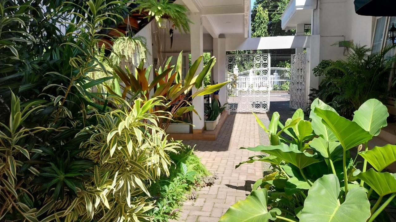 Surokarsan 9 House Yogyakarta Hotel Екстериор снимка